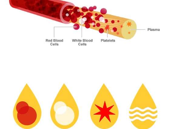 Hair Loss and Hair Thinning Treatment with Platelet-Rich Plasma (PRP)